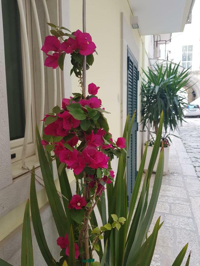 Arco Gentile Bed & Breakfast Bitonto Luaran gambar